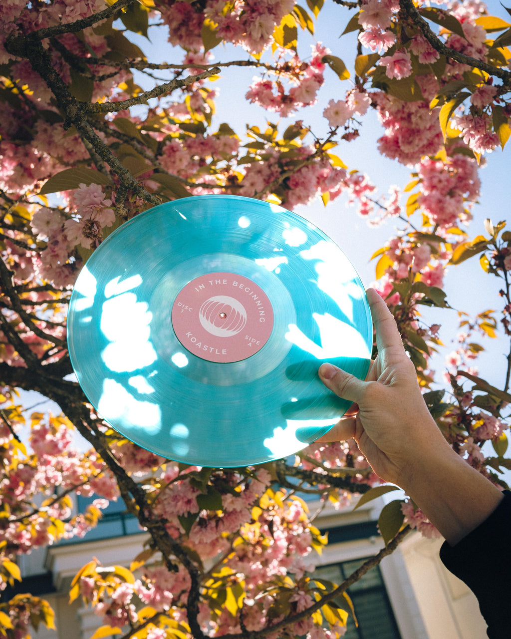 In The Beginning LP Vinyl