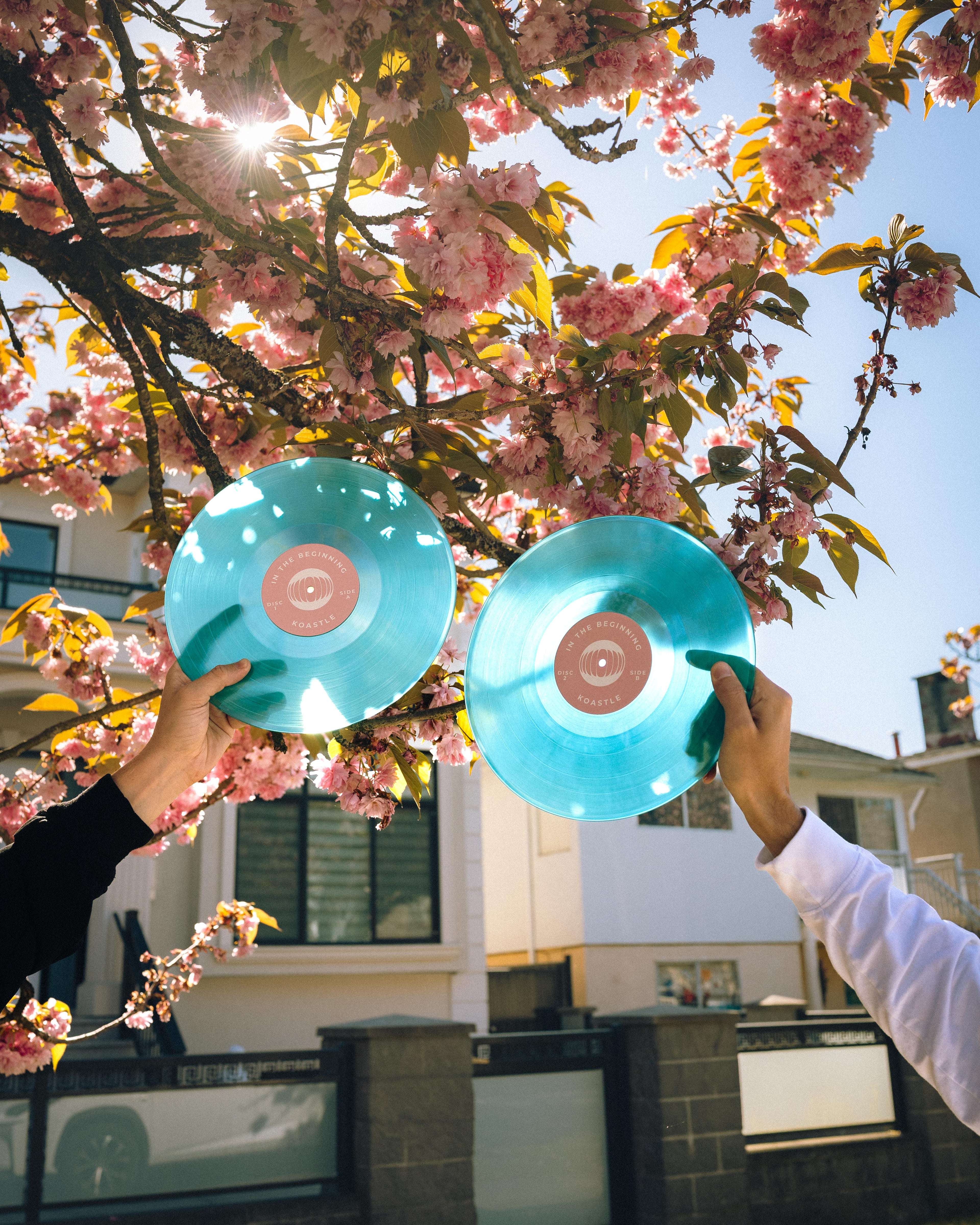 In The Beginning LP Vinyl